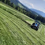 Am Wirtshof *
